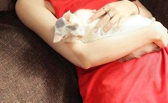 QingDouKe青豆客 – 看似轻松，实则不易，陈思琪的女王美图如何驾驭？
